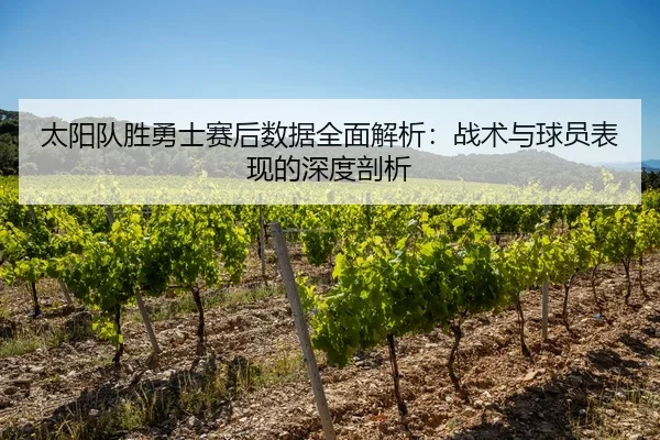 太阳队胜勇士赛后数据全面解析：战术与球员表现的深度剖析